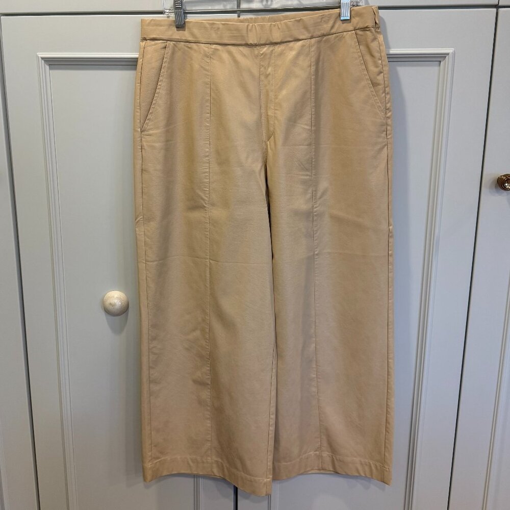 Tyler Boe Payton Vegan Leather Cropped Pant Size 12